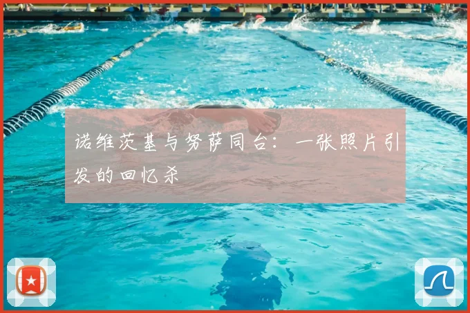 诺维茨基与努萨同台：一张照片引发的回忆杀